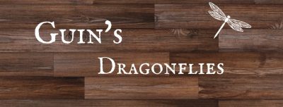 Guin's Dragonflies FB Group Header